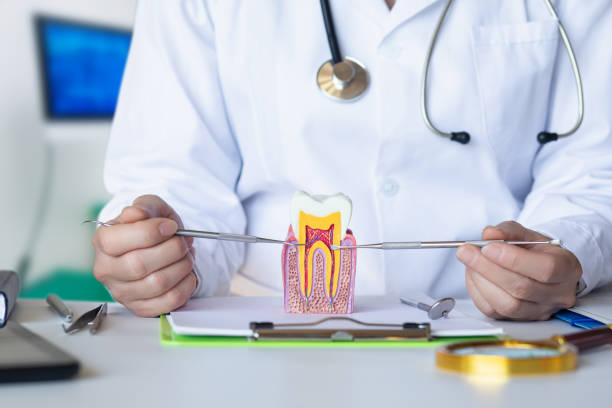 Best Emergency Treatment for Toothache in Portage, IN